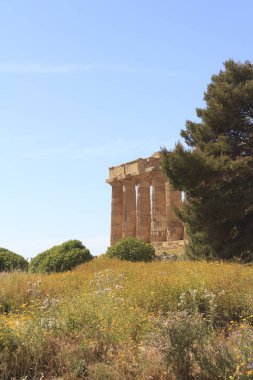 Antik Yunan tapınağı kalıntıları. Gün zaman atış