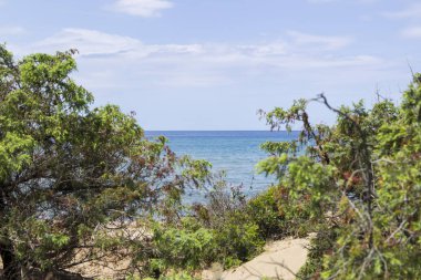 Sandy beach eyaletinin ve Toskana bölgesinin önemli deniz ile İtalya ve bulutlar gökyüzünde Rimigliano doğa parkında
