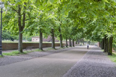 Park Lucca İtalyan şehir Pisa bölgedeki tarihi yürünebilir şehir duvar
