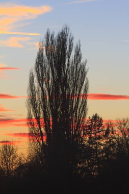 Güzel gün batımı. Doğa kavramı