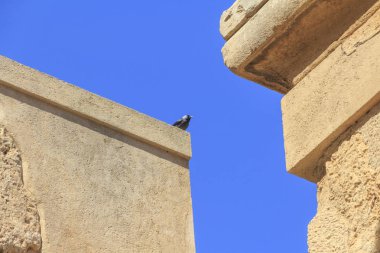 Antik Yunan tapınağı kalıntıları. Gün zaman atış