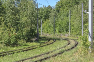yaz aylarında orman yakınında çim raylar