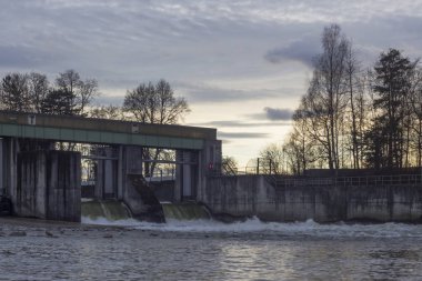 Gündüz sakin orman sahne shot