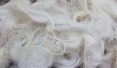 kürk ağacı dokusu