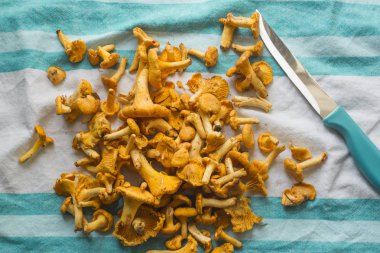 chanterelles yakın çekim, seçici odak