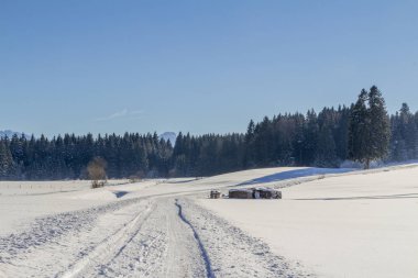 Karlı dağ manzarası Alpleri'nde
