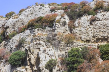 Torre di Salsa, İtalya harabelerde doğa rezerv