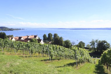 Konstanz Gölü, Almanya için üzüm bağları üzerinde göster