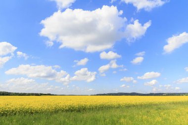 Muhteşem kırsal doğa manzara 