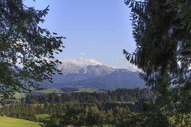 Yaz aylarında dağ manzarası, seçici odak