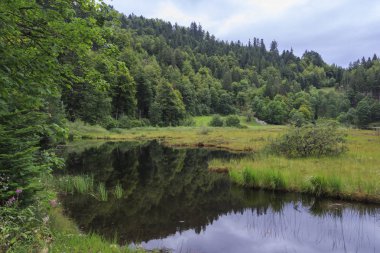 Muhteşem kırsal doğa manzara 