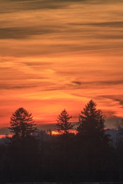 Güzel gün batımı. Doğa kavramı