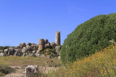 Antik Yunan tapınağı kalıntıları. Gün zaman atış