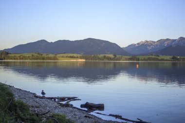 Doğal görünümünü Forggensee dağ ve göl, Almanya
