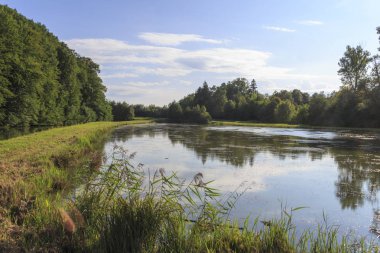 Burgwalden gölde balık doğal görünümünü