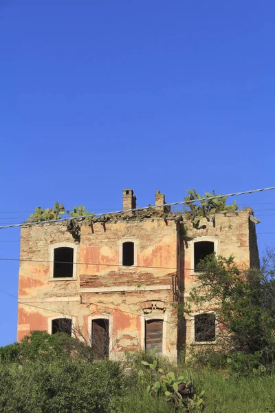 Cacti growing on roof of old building in Sicily