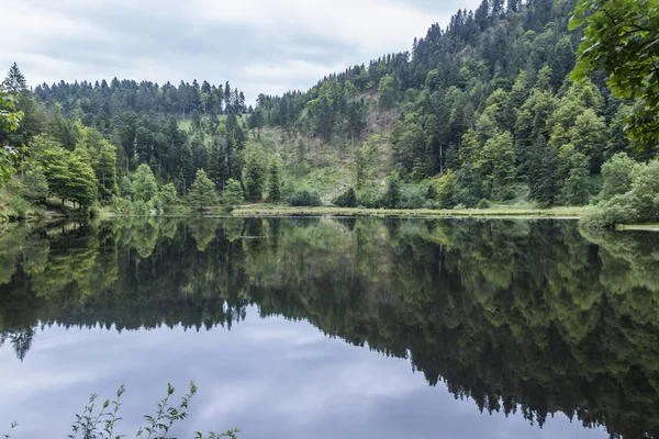 Incredibile Paesaggio Naturale Rurale — Foto Stock