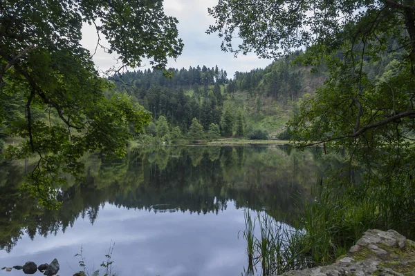 Incredibile Paesaggio Naturale Rurale — Foto Stock