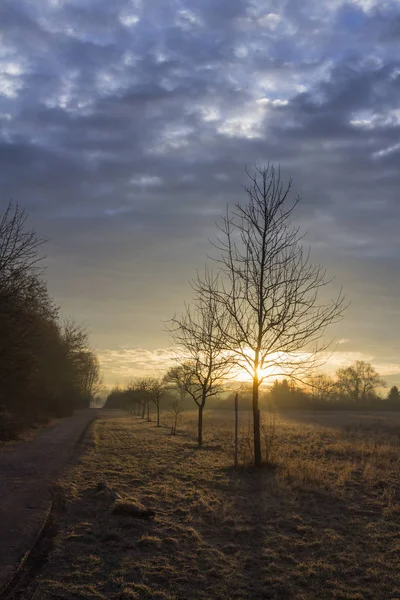 Zonsopgang Boven Frosty Landschap — Stockfoto