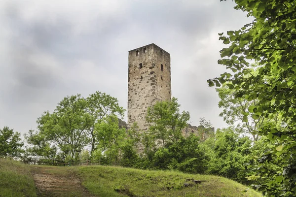 Malowniczy Widok Ruin Niederhaus Drzewach — Zdjęcie stockowe