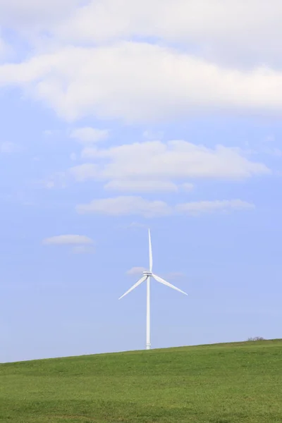 Big Wind Turbine Rapeseed Field — Stock Photo, Image