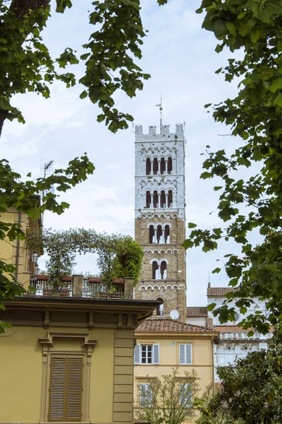 Torre Duomo Cidade Italiana Lucca Toscana Vista Muralha Cidade Caminhável — Fotografia de Stock