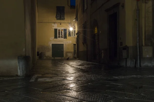 Νυχτερινές Παλιά Πόλη Δρόμους Οδός Lightingand Μια Μαύρη Γάτα Στο — Φωτογραφία Αρχείου