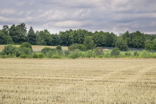 Harvested Wheat Fields Cloudy Sky — Stock Photo, Image