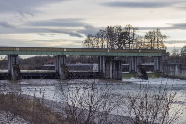 Rustige Bos Scène Dagtijd Schot — Stockfoto