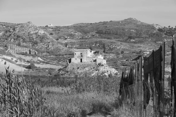 Κτίριο Της Σικελίας Αγρόκτημα Στη Μέση Του Πορτοκαλί Φυτείες — Φωτογραφία Αρχείου