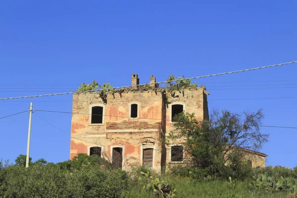 Cacti Cresce Sul Tetto Vecchio Edificio Sicilia — Foto Stock