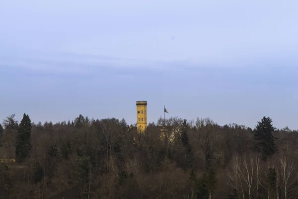 Utsikt Över Slottet Med Flaggan Skogen — Stockfoto