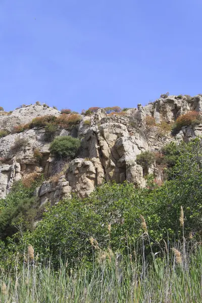 Torre Salsa Talya Harabelerde Doğa Rezerv — Stok fotoğraf