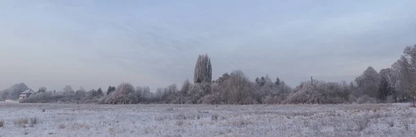 Geweldige Natuur Thema Natuur Concept — Stockfoto