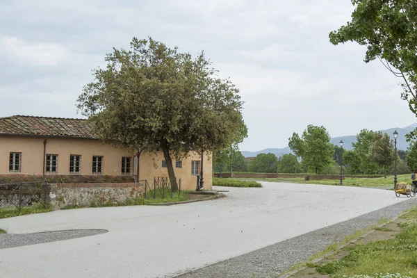 Parque Histórica Muralla Ciudad Lucca Región Pisa —  Fotos de Stock