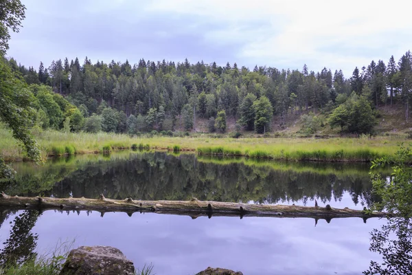 Fantastische Landelijke Natuur Landschap — Stockfoto