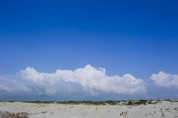 Plage Sable Bord Mer Avec Débris Alluviaux Bois Flotté Près — Photo