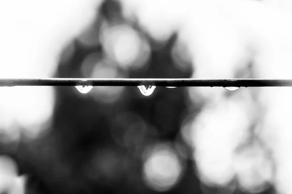 Raindrops Keep Falling Selective Focus — Stock Photo, Image