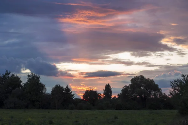 Rayos Sol Noche Sobre Campo Los Árboles —  Fotos de Stock