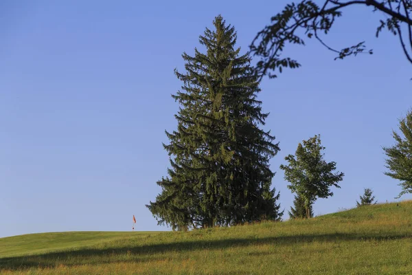 夏のゴルフ場の眺め — ストック写真