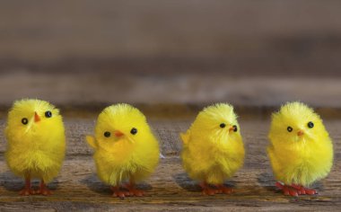 Paskalya tavuk atış kapatın