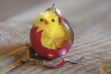 Paskalya tavuk atış kapatın