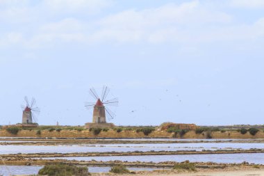 Tuz daireler Marsala, Trapani, Sicilya'daki yel değirmenleri görünümünü