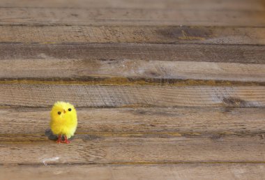 Paskalya tavuk atış kapatın