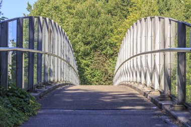 ormanda küçük dere üzerinde köprü, seçici odak