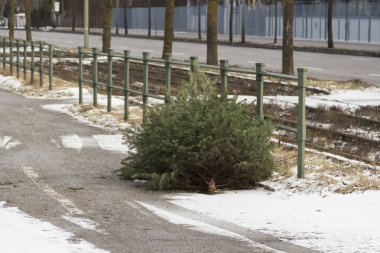 Yolda Noel ağacı, seçici odak