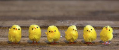 Paskalya tavuk atış kapatın