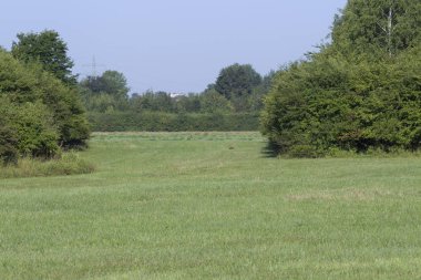 Alanlar ve bir şehrin kenarında