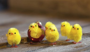 Paskalya tavuk atış kapatın