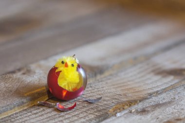 Paskalya tavuk atış kapatın